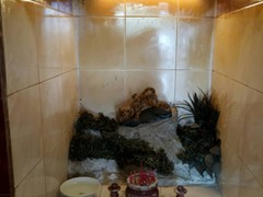 WhatsApp Image 2020-03-30 at 14.14.37